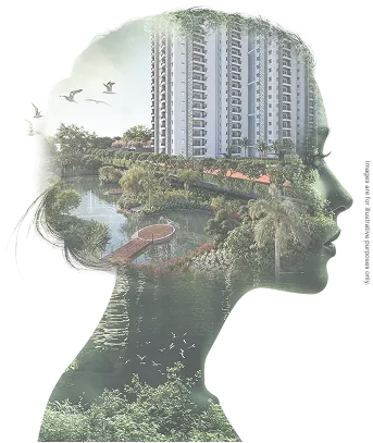 About Image